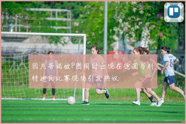 因凡蒂诺被P图同时出现在德国与科特迪瓦比赛现场引发热议
